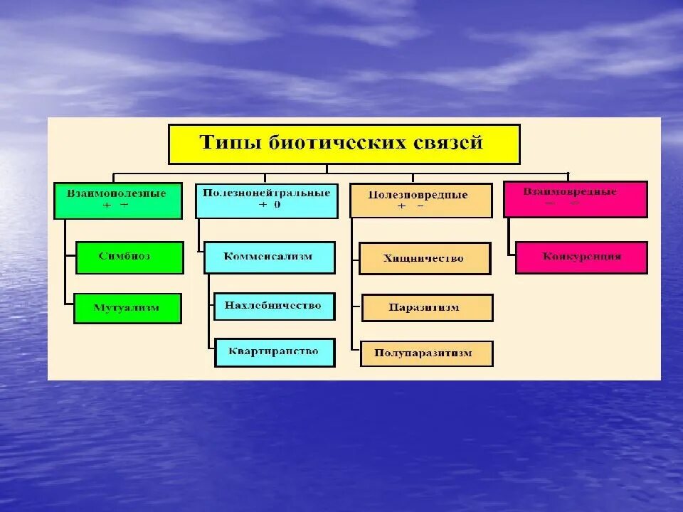 Биотические связи в природе схема. Типы биотические взаимоотношения. Типы биотических связей. Типы биотических отношений.