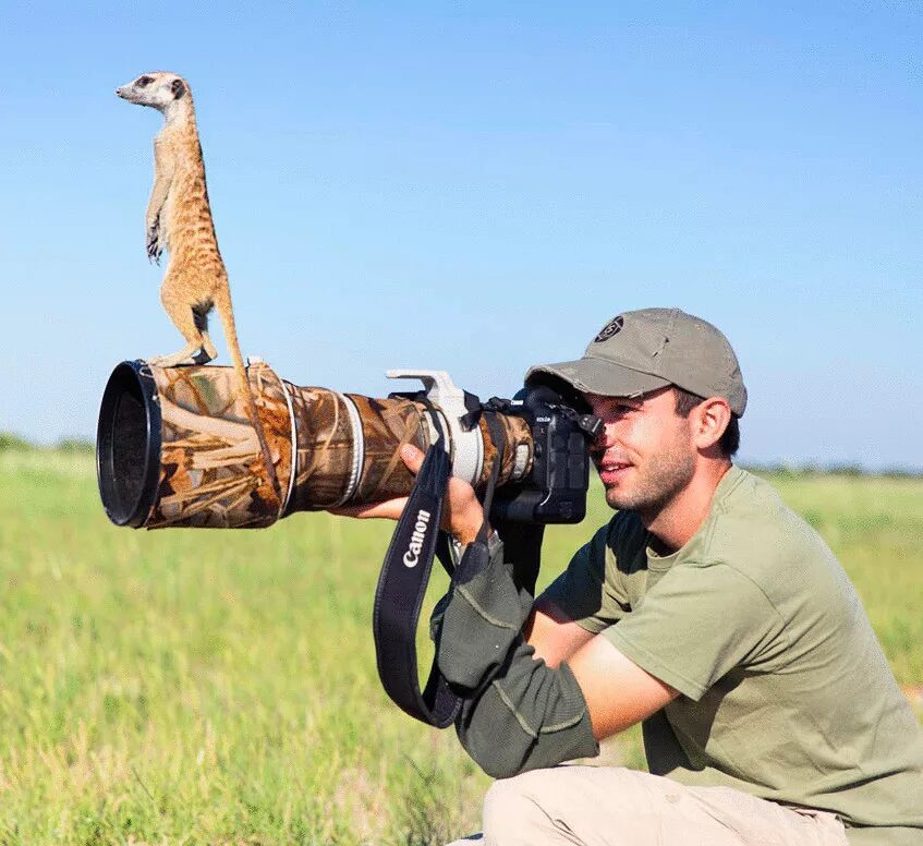 Селфи с верблюдом. Найти смешные. Люди и животные. Животные на кухне. Прикольный рыжий кот.