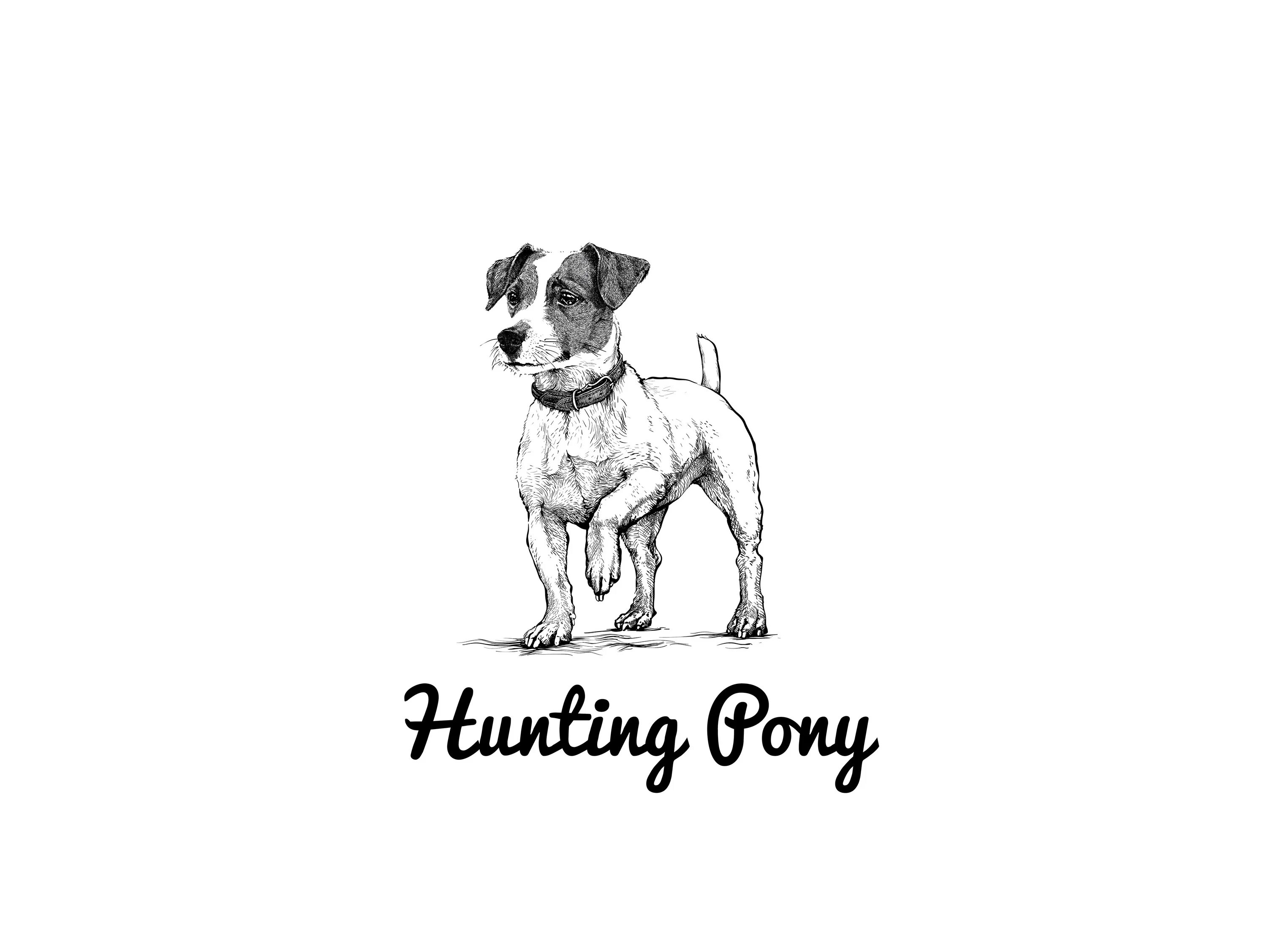 Hunt pony. Hunting Pony лого. Для собак Hunting Pony. Hunting Pony аксессуары для собак.