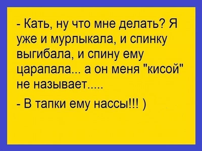 Сделай анекдот. А что делать анекдот. Я И мурлыкала, и спинку выгибала. Такое вытворяла анекдот. В тапки ему нассы анекдот.