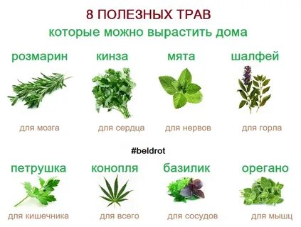 Сколько видов полезных