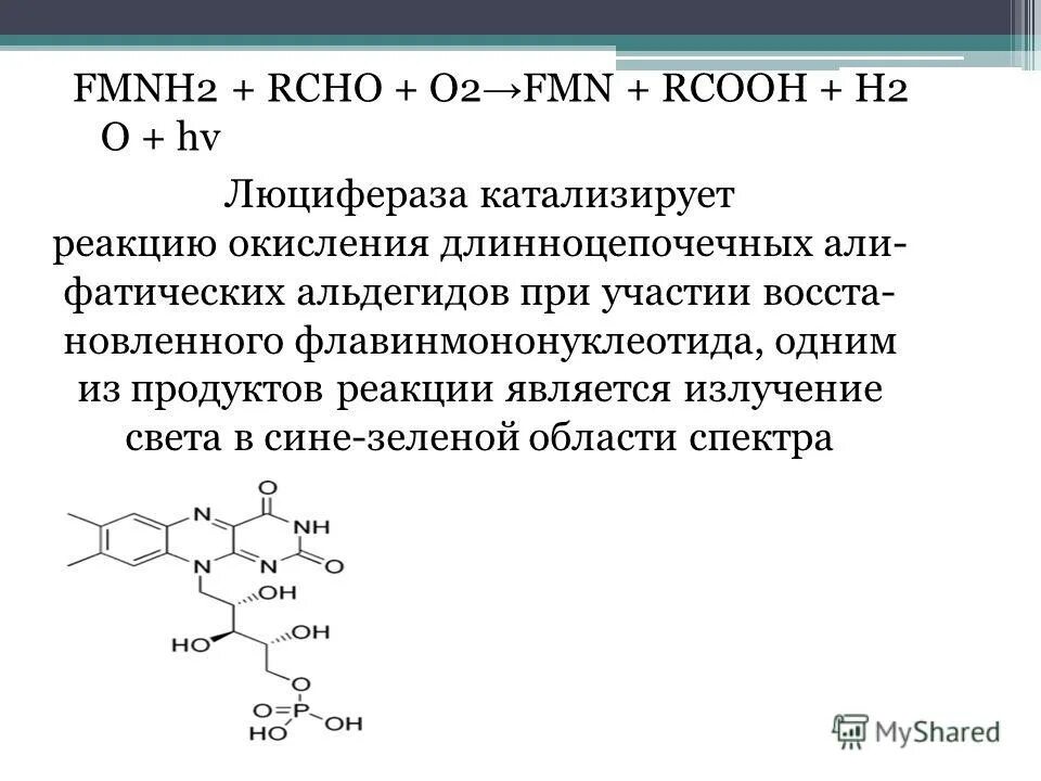 Класс вещества соответствующих общей формуле rcooh