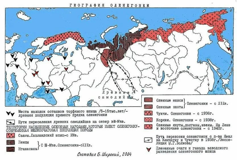 Ненцы карта расселения. Карта расселения ненцев в России. Ненцы ареал проживания. Ареал расселения ненцев.