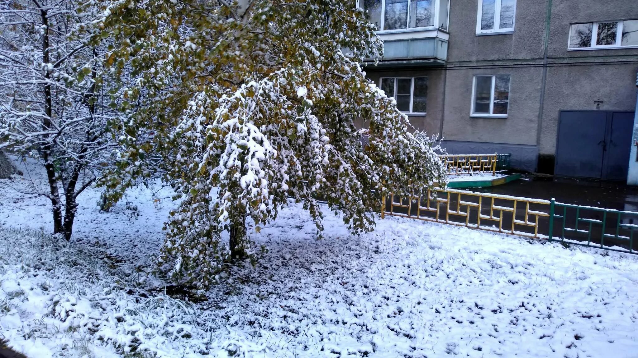 И снова выпадет снег. Выпал снег. Первый снег на Камчатке. Репетиция зима. Картинки на рабочий стол первый снег в городе.
