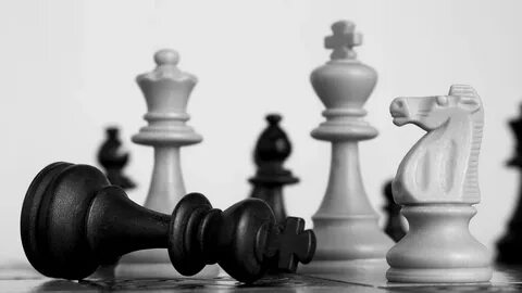 Шахматы chessday