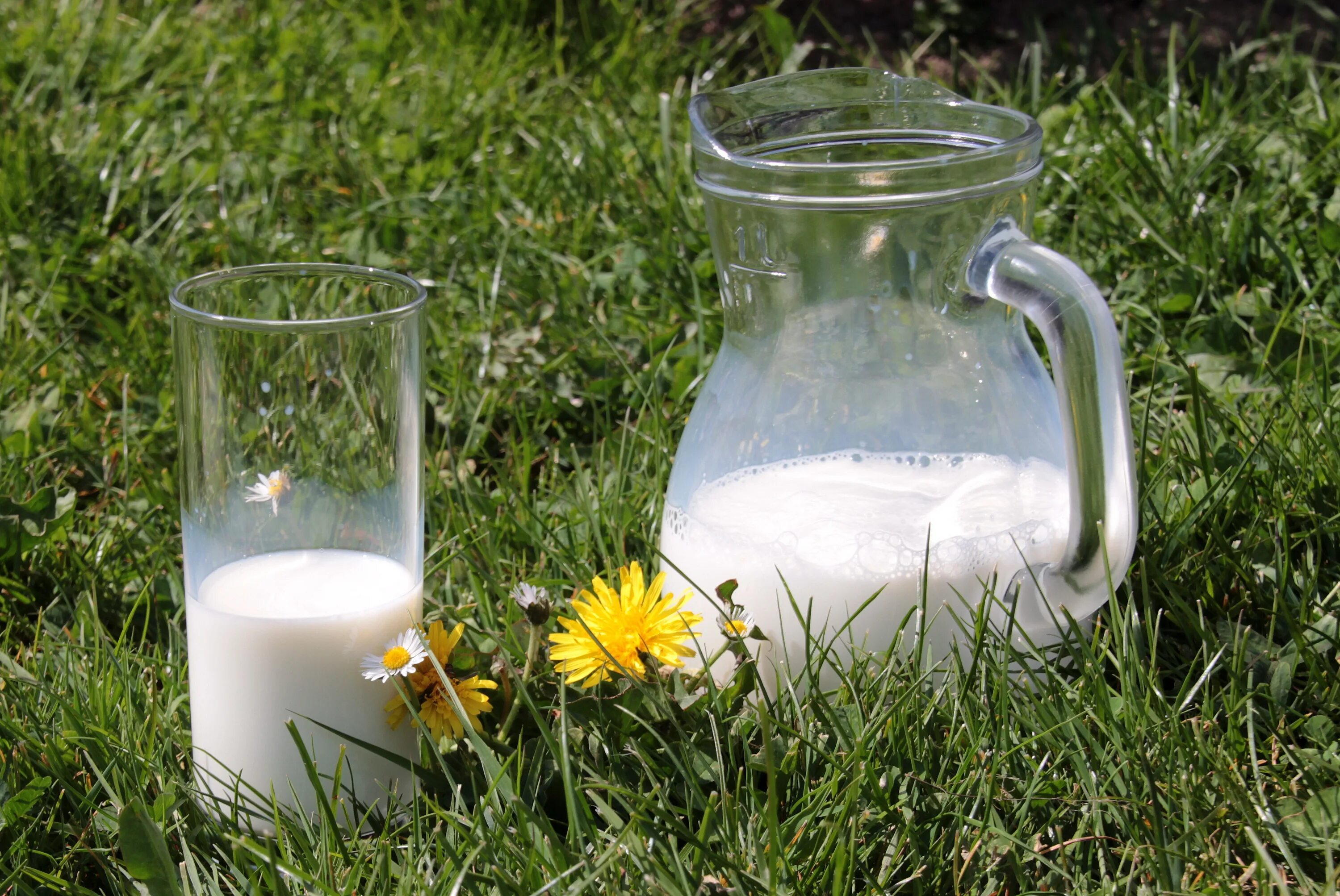Milk pot