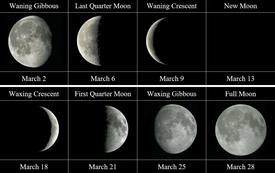 Как переводится мун. Quarter Moon. First Quarter Луна. Waxing Gibbous Moon. Waning Crescent Moon.