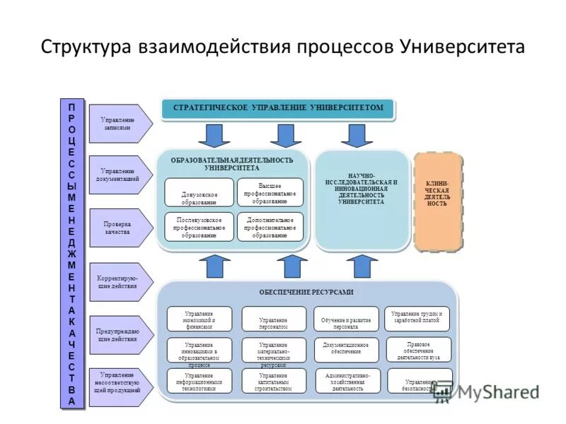 Система управления высшим образованием. Структура образовательного процесса вуза схемы. Модель управления в вузе. Структура системы университета. Система управления вузом.