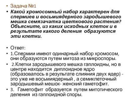 Хромосомный набор эндосперма яблони