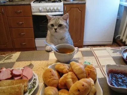 Съел плюшку