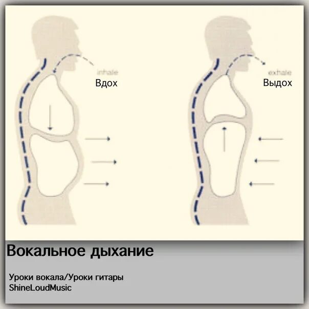 Вокальное дыхание