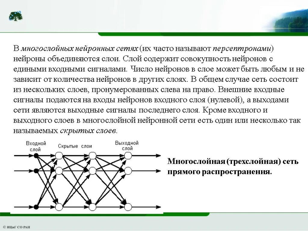 Многослойная структура нейронной сети. Нейронная сеть схема. Слои нейронной сети. Входной слой нейронной сети.