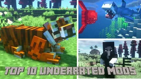 The wild mod