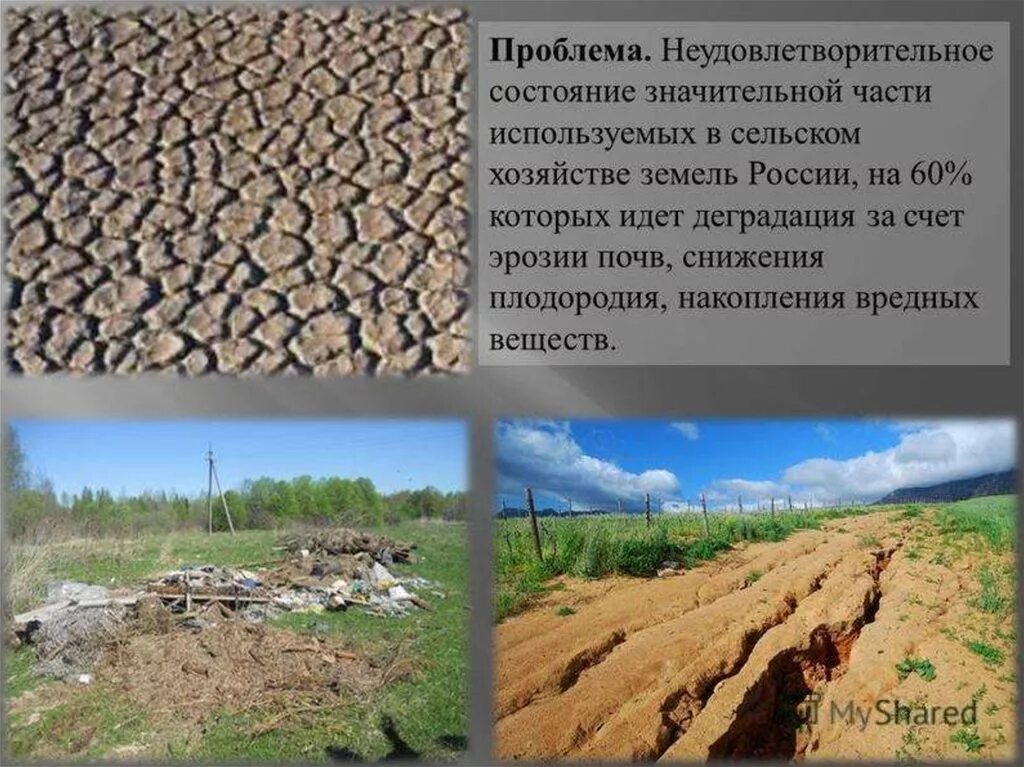 Проблема использования земель. Деградация почв. загрязнение почвы эрозия. деградация сельскохозяйственных земель. экологические проблемы почв.