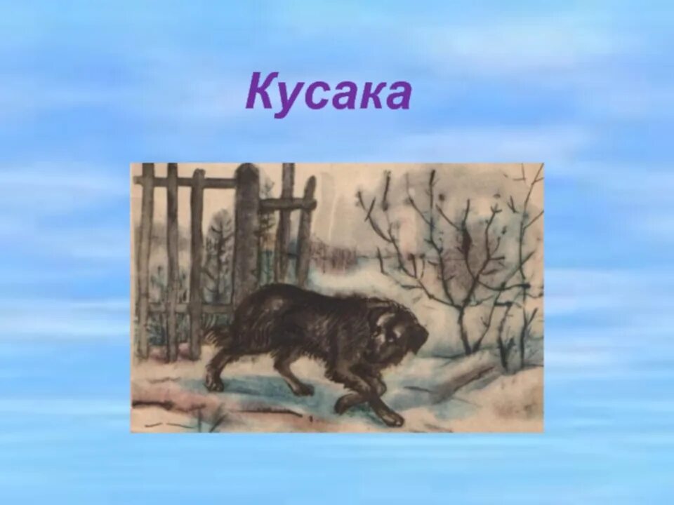 Кусака константиновск. Кусака константиновск. Кусака константиновск. Кусака константиновск. Нужны ли в жизни сочувствие и сострадание.