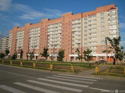 Череповец зашекснинский квартира
