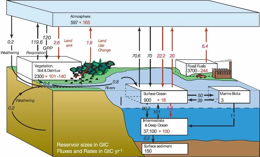 Carbon source. Геохимический цикл углерода. carbon cycle. carbon cycle in ocean. inorganic carbon cycle.