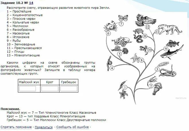 Впр по биологии 5 класс образец 2023. ВПР по биологии шестой класс ответы. ВПР по биологии 6 класс с ответами. ВПР 6 класс биология ответы. ВПР биология 6 класс вариант 1 с ответами.