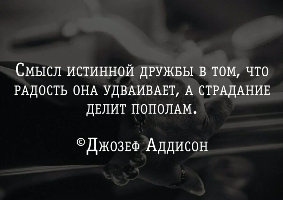 Смысл жизни в дружбе. Цитаты про дружбу. Высказывания о дружбе. Цитаты про дружбу со смыслом. Афоризмы про дружбу со смыслом.