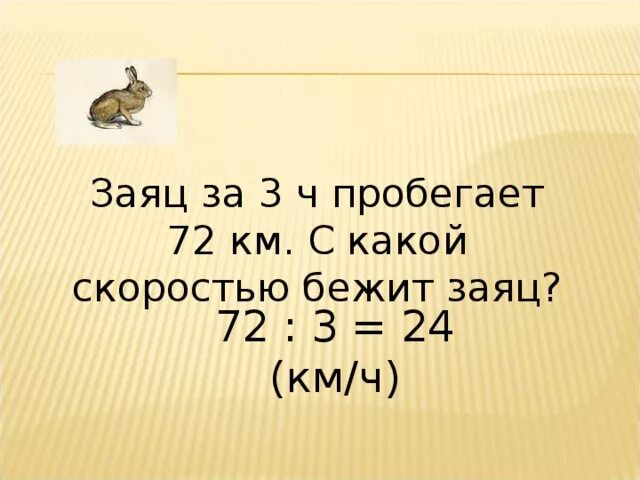 Скорость зайца км/ч. Максимальная скорость зайца русака. Заяц скорость бега км/ч. Скорость зайца при беге.