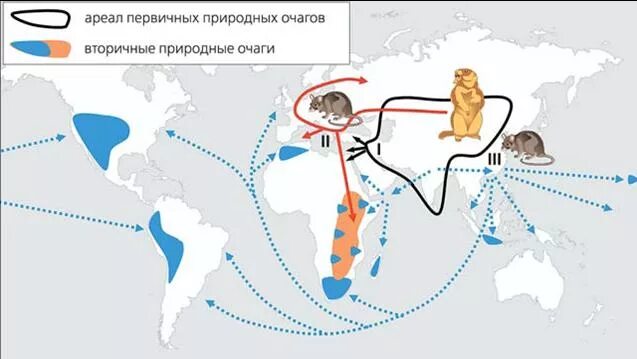Чума в казахстане. Чума в казахстане