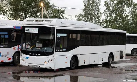Автобус 565 кировск расписание