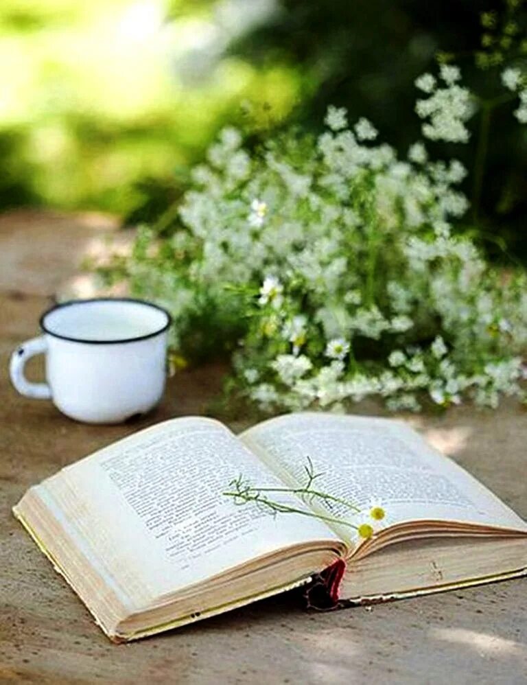 «натюрморт с книгами». Весенние книги для детей. Читать весенние. Весенние книги подборка. А.