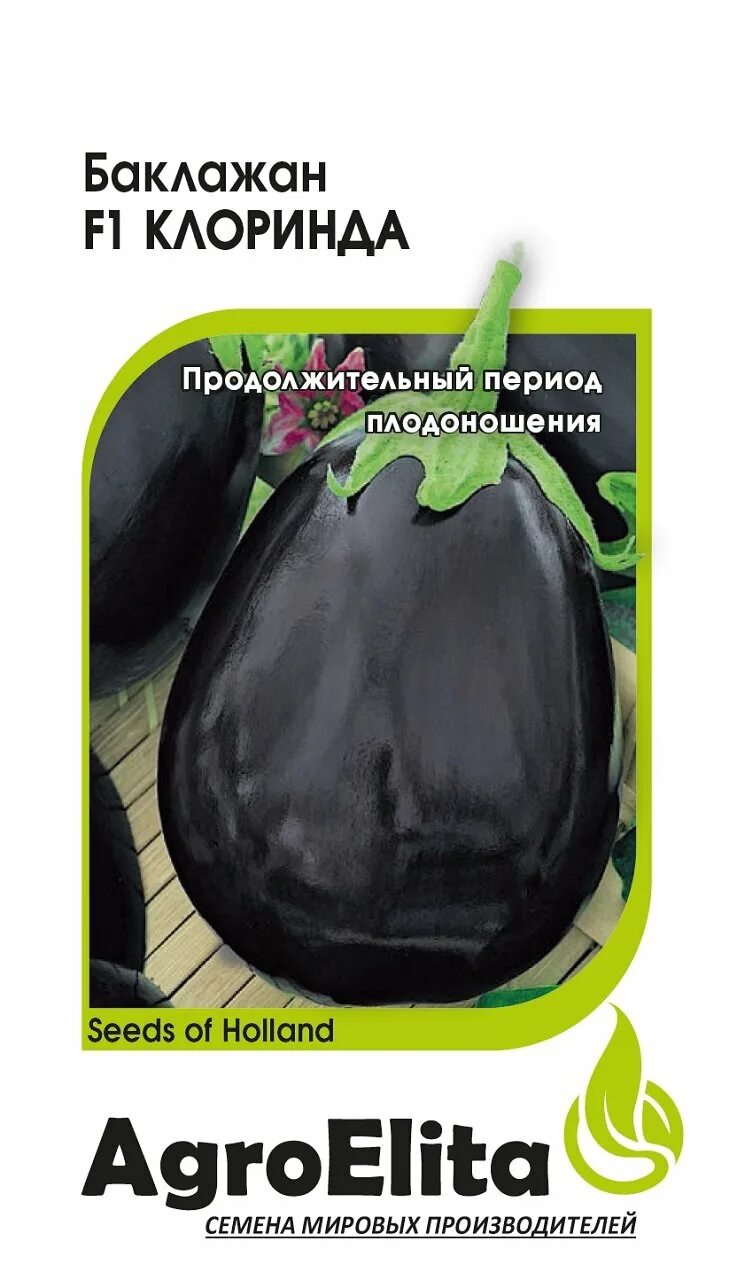 Баклажан клоринда семена. Фонтейн клоринда. Клоринда реплики. Clorinde genshin screenshot. Клоринда реплики.