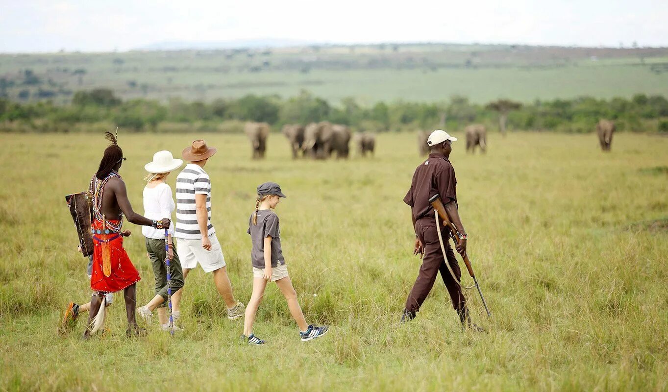 People and wildlife. Масаи Кения Танзания. Кения сафари.