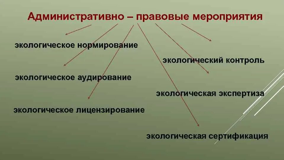 Административные природоохранные мероприятия. Экологическое нормирование. Основные природоохранные мероприятия административные. Правовые мероприятия. Экологическое аудирование