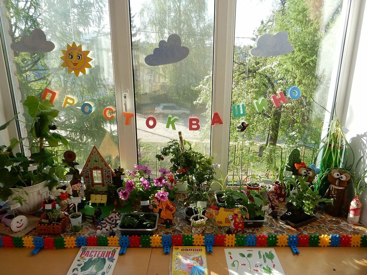 Огород на окошке в доу. Огород детсад. Огород на окошке в доу. Огород на окне в доу. Огород на подоконнике в детском саду.