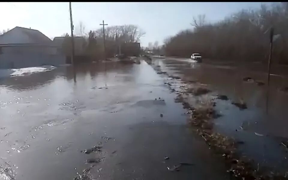 Уровень реки алей. Паводок Алтайский край. Паводок в деревне Алтайский край. Обь наводнение. Подъем воды на реке паводок.