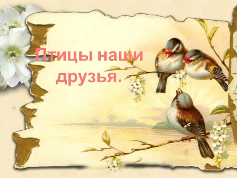 День птиц. Международный день птиц. Международный праздник птиц. День птиц открытки.