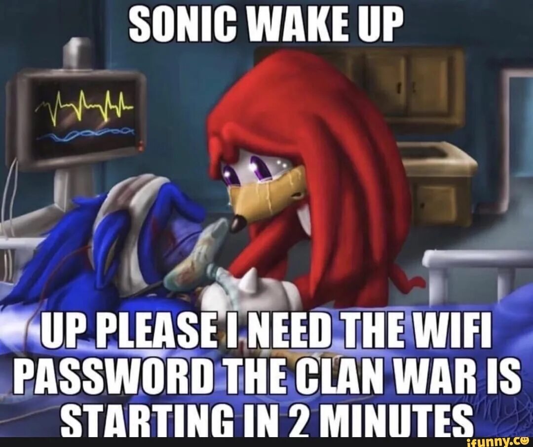 Pleasure up. Соник пожалуйста. Sonic please WIFI password. Соник вейк. Sonic died.