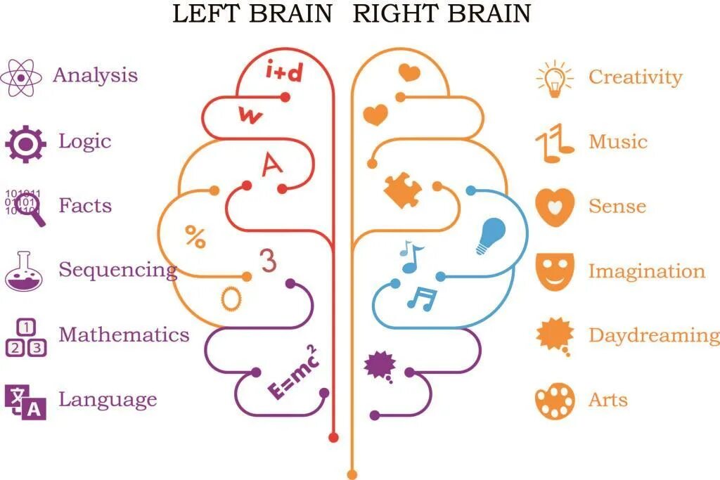 Right brained left brained. Left and right brain. right or left brain. brain development language. left and right brain features.