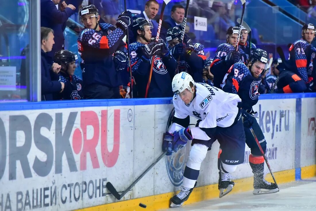 прогноз южный урал динамо спб