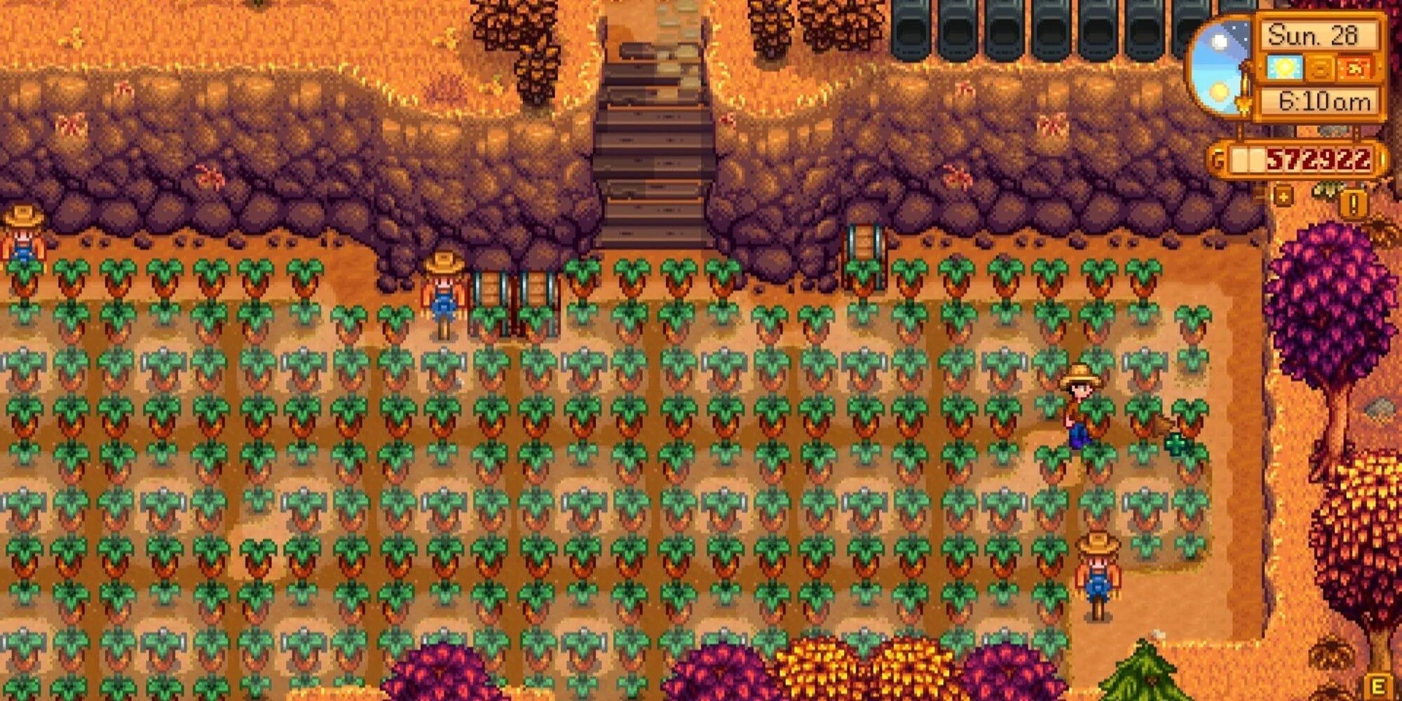 Редис стардью. Змеезуб stardew valley. редкое семечко stardew valley. сладкая ягодка stardew valley. сладкая ягода в стардью валли.