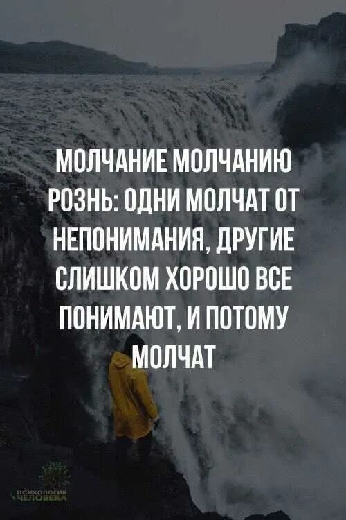 Высказывания о непонимании. Недопонимание цитаты. Недопонимание высказывание. Афоризмы про недопонимание. На счет молчания