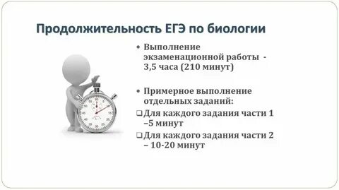 Сколько по времени длится учет