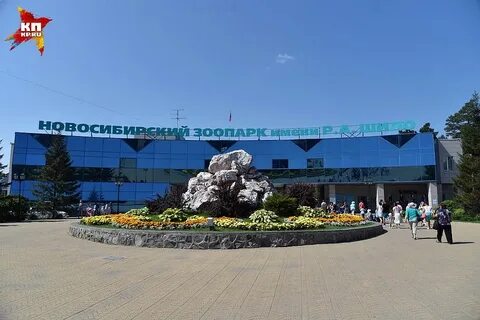 Новосибирский зоопарк веб