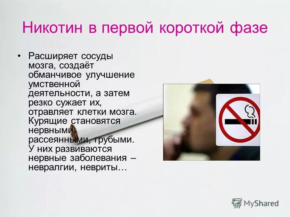 никотин расширяет сосуды. сигареты сужают или расширяют сосуды. влияние никотина на сосуды. никотин и нервная система. влияние никотина на нервную систему.