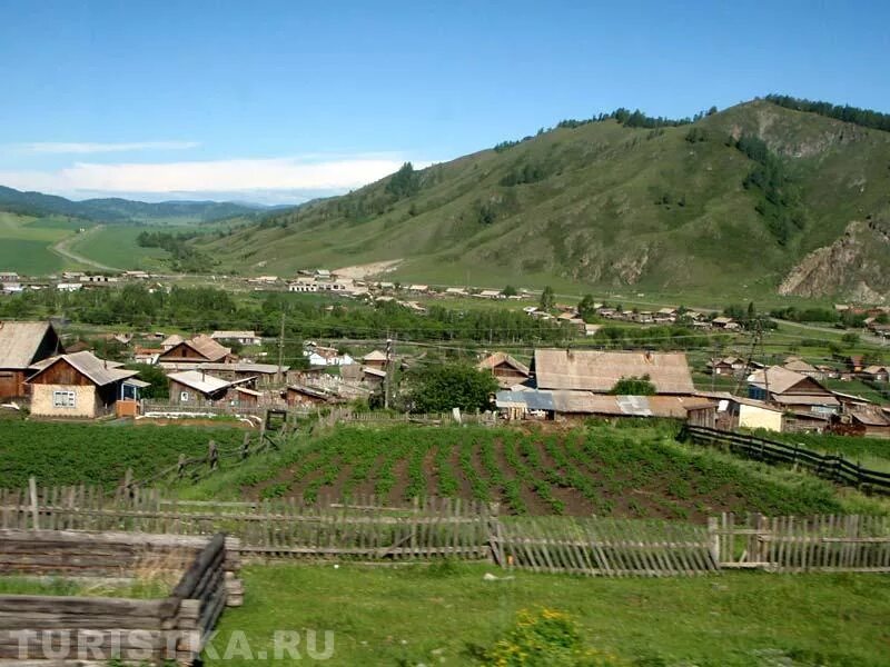 Горно алтайск шебалино. Шебалино горный Алтай. Село Шебалино Алтайский край. Население Шебалино Республика Алтай. Население село Шебалино Республика Алтай.