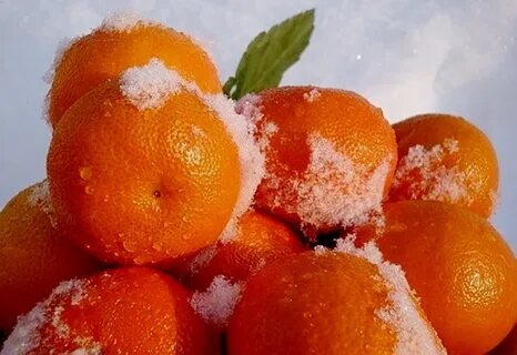 Апельсины зима