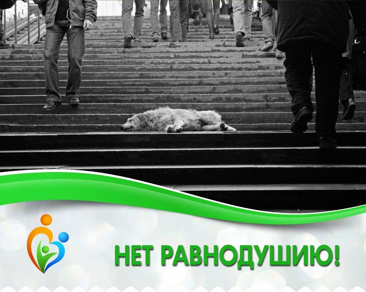 Мир равнодушия. Равнодушию нет. Равнодушие. Равнодушие и жестокость.