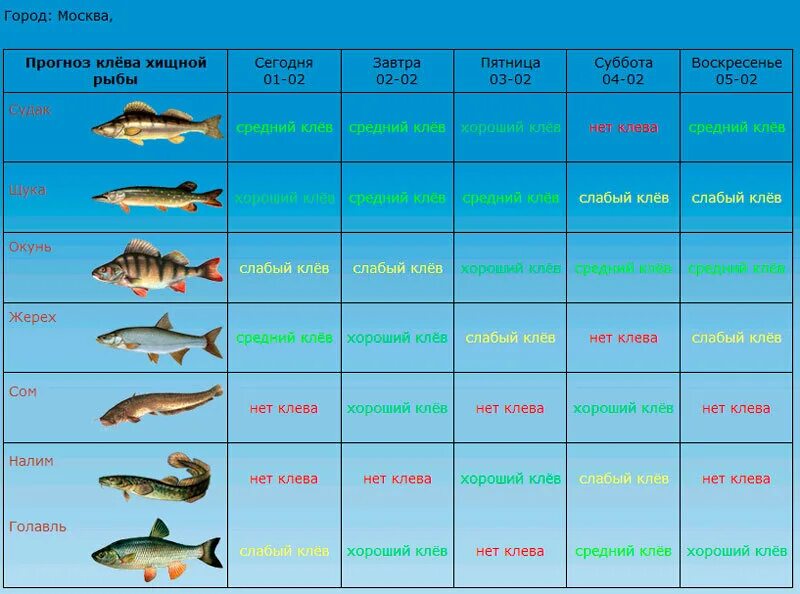 Клев рыбы. Прогноз клева. Прогноз клёва рыбы. Таблица рыболова.