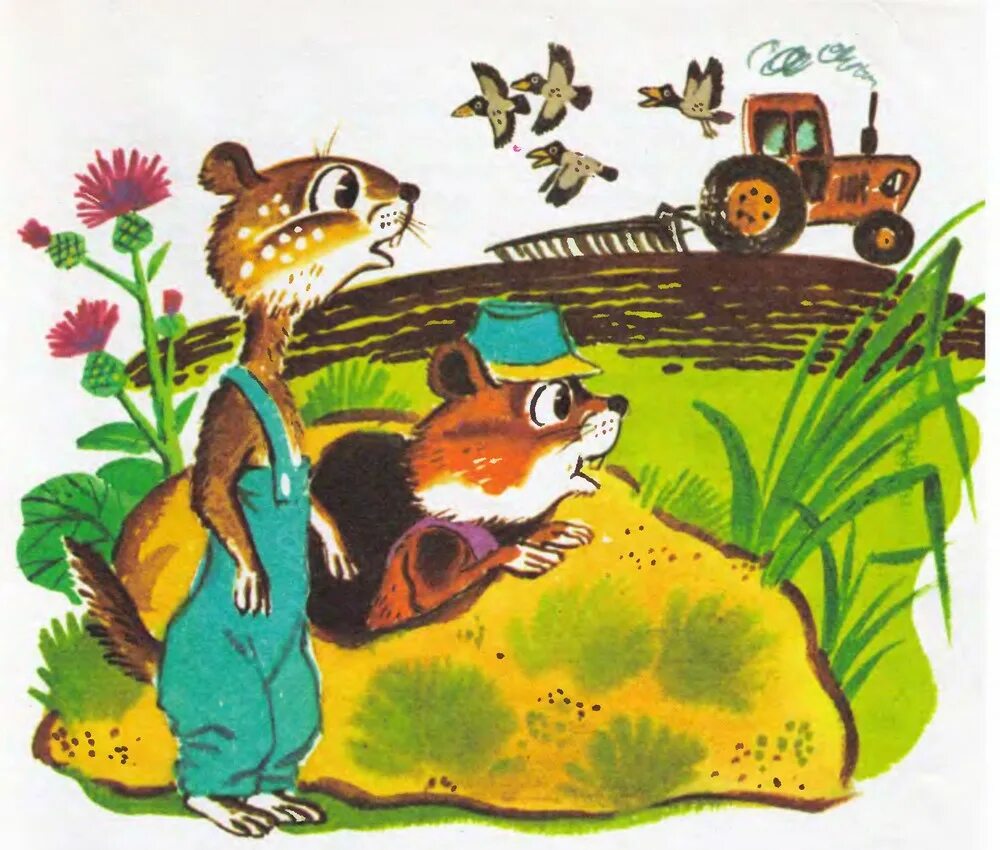 Аудио сказка суслик и хома. Аудио сказка суслик и хома. Иванов как хома и суслик последнее делили. Ома и суслик. Приключения хомы аудиосказка.