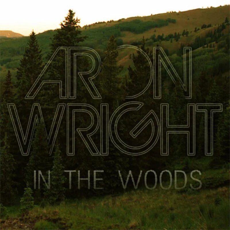 Woods Aron Wright. In the Woods Aron Wright. In the Woods песня. Woods обложка. I remembered an evening i
