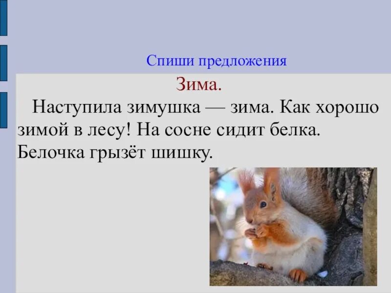 Для 2 класса 3 4 предложения. Текст для списывания 1 класс зима. текст для списывания 1 класс. предложения для первого класса для списывания. маленький текст для списывания.