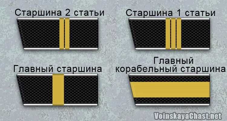 Какому воинскому званию военно морского флота соответствует. Погоны главный Корабельный старшина ВМФ. Погоны старшего матроса ВМФ. Главный Корабельный старшина звание. Главный Корабельный старшина ВМФ.