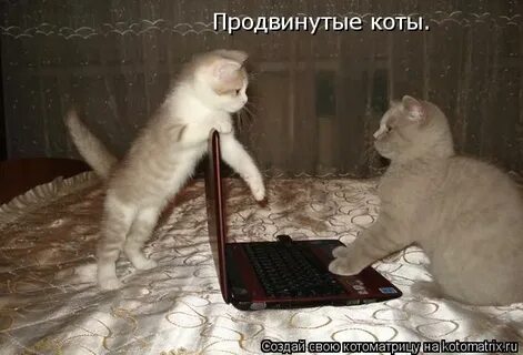 Отвлечься как пишется